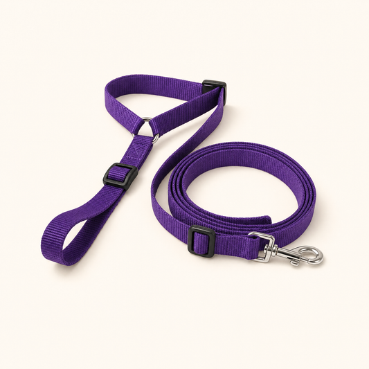 Ravunelo 2-in-1 dog car restraint and walking leash