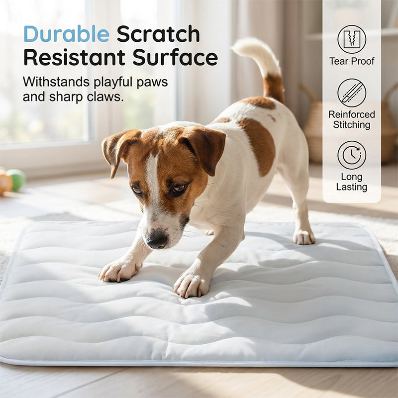 Ravunelo™ Ice Silk Cooling Mat for Dogs & Cats