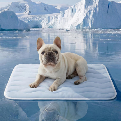 Ravunelo™ Ice Silk Cooling Mat for Dogs & Cats