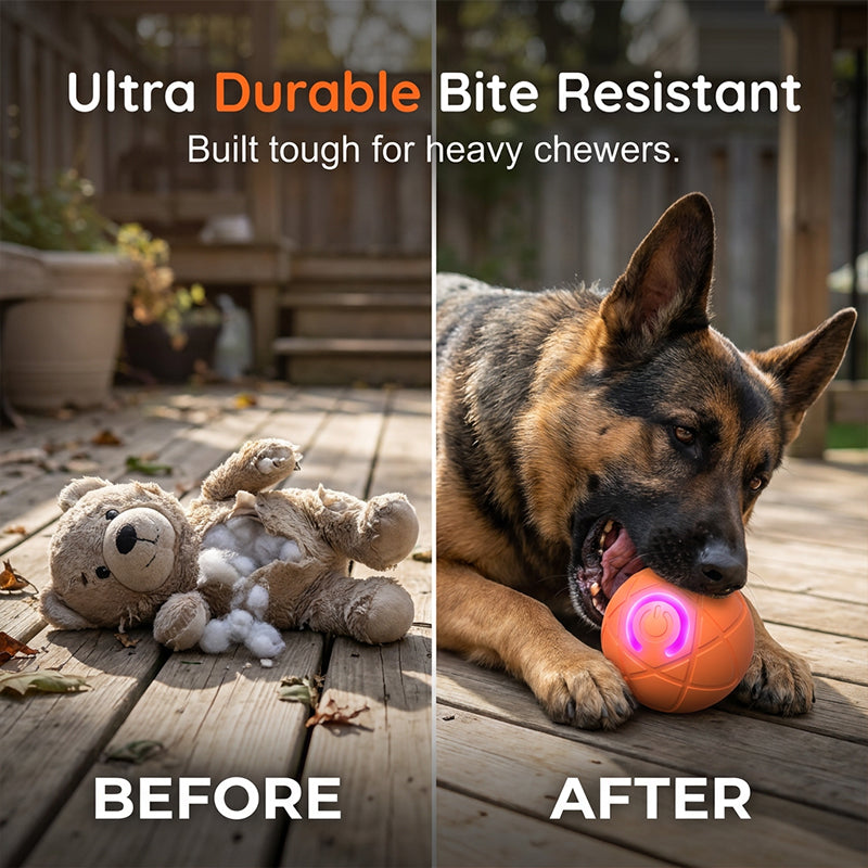 Ravunelo™ Auto-Bouncing Smart Pet Ball with Remote