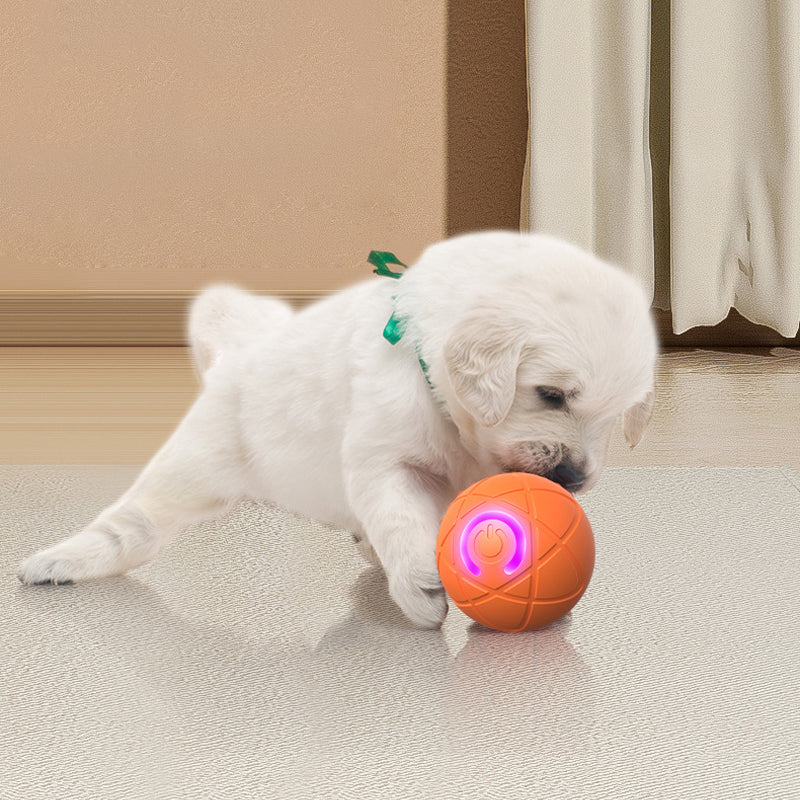 Ravunelo™ Auto-Bouncing Smart Pet Ball with Remote