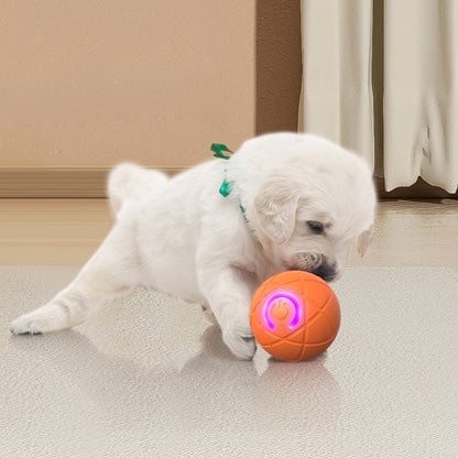 Ravunelo™ Auto-Bouncing Smart Pet Ball with Remote