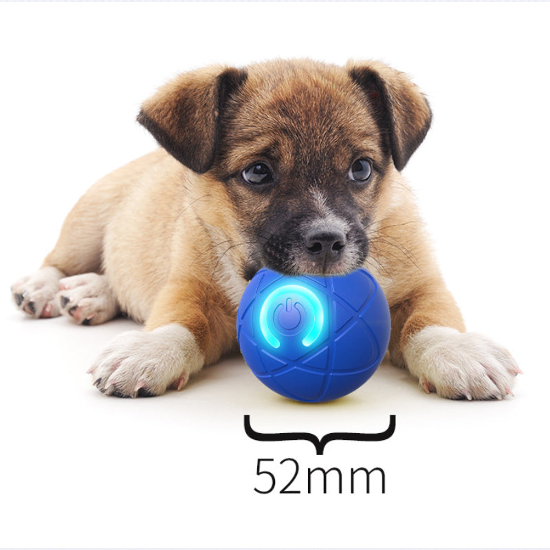 Ravunelo™ Auto-Bouncing Smart Pet Ball with Remote
