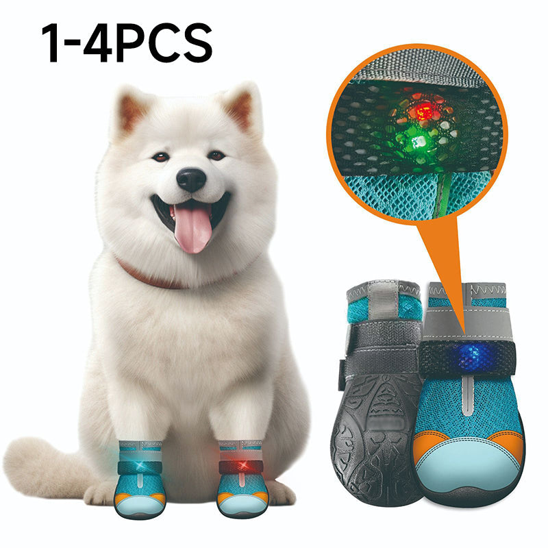 Ravunelo™ Breathable Mesh Dog Shoes with Luminous Soles