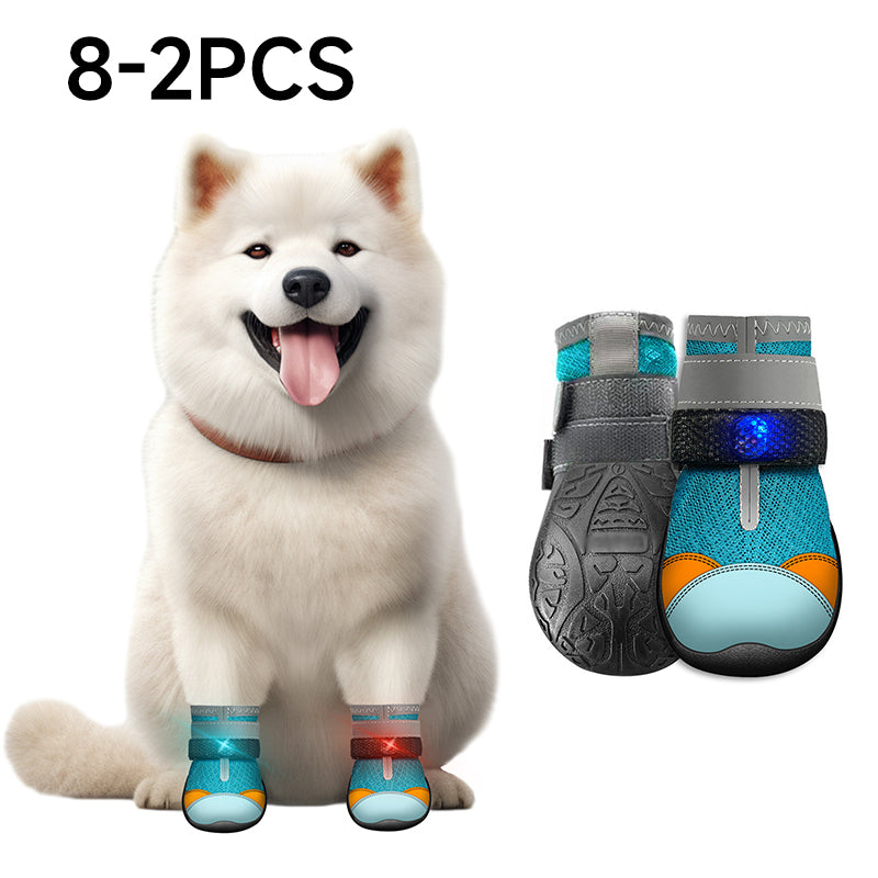 Ravunelo™ Breathable Mesh Dog Shoes with Luminous Soles