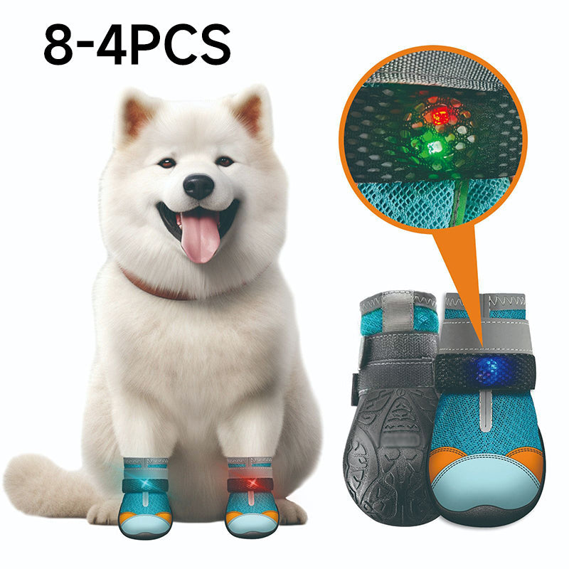 Ravunelo™ Breathable Mesh Dog Shoes with Luminous Soles